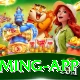 1XWin Prime Gaming App