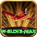 666W - Slots Max